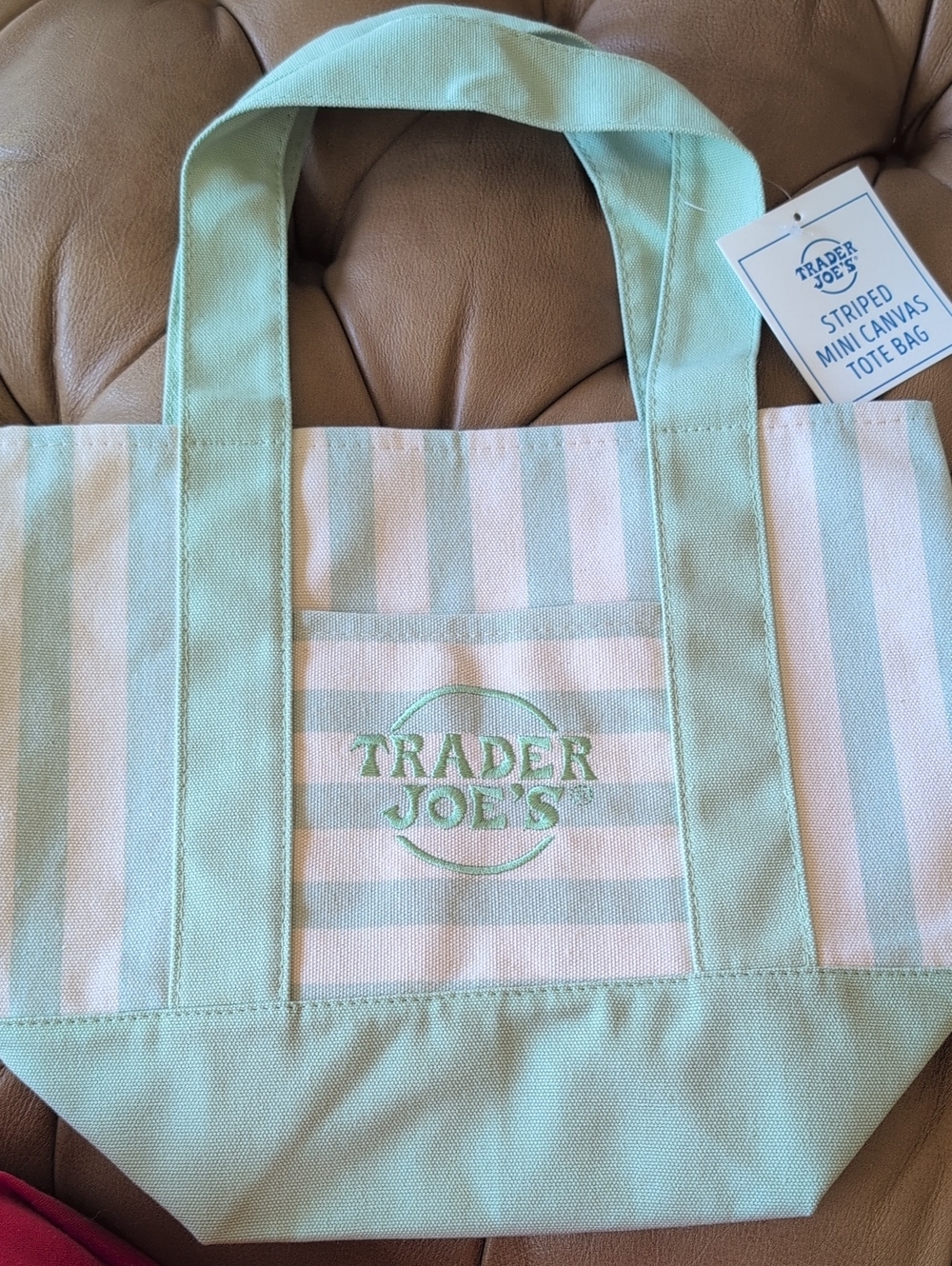 Trader Joe's Mint Green & White Striped Mini Canvas Tote